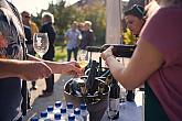 Zahájení Festivalu vína Český Krumlov® na vinici v Klášterní zahradě 7. 10. 2022, foto: Tomáš Kasal