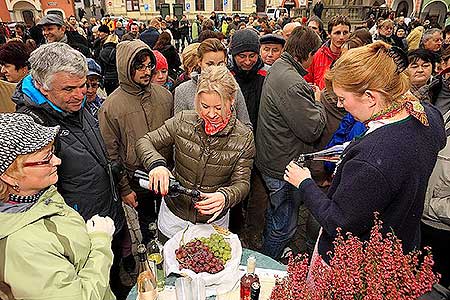 Slavnostn&iacute; otevřen&iacute; Svatomartinsk&eacute;ho v&iacute;na, zdroj: DM Česk&yacute; Krumlov