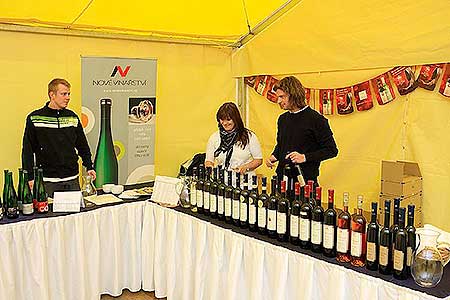 Zahradn&iacute; slavnost v&iacute;na, zdroj: DM Česk&yacute; Krumlov, foto: Libor Sv&aacute;ček