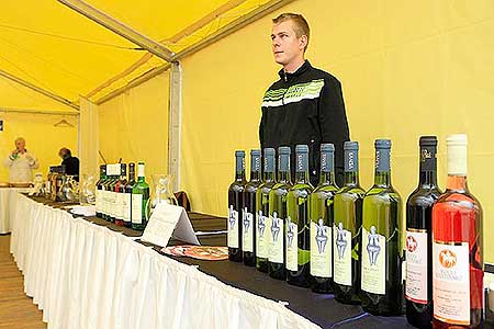 Zahradn&iacute; slavnost v&iacute;na, zdroj: DM Česk&yacute; Krumlov, foto: Libor Sv&aacute;ček