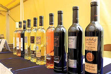 Zahradn&iacute; slavnost v&iacute;na, zdroj: DM Česk&yacute; Krumlov, foto: Libor Sv&aacute;ček