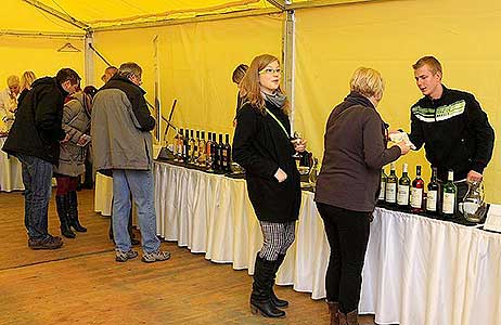 Zahradn&iacute; slavnost v&iacute;na, zdroj: DM Česk&yacute; Krumlov, foto: Libor Sv&aacute;ček