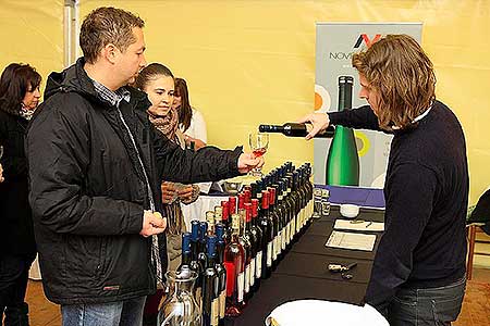 Zahradn&iacute; slavnost v&iacute;na, zdroj: DM Česk&yacute; Krumlov, foto: Libor Sv&aacute;ček