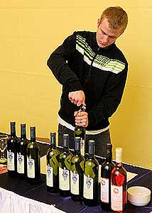 Zahradn&iacute; slavnost v&iacute;na, zdroj: DM Česk&yacute; Krumlov, foto: Libor Sv&aacute;ček