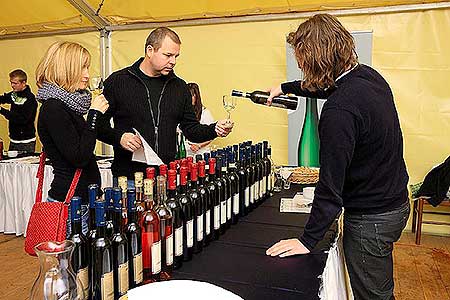 Zahradn&iacute; slavnost v&iacute;na, zdroj: DM Česk&yacute; Krumlov, foto: Libor Sv&aacute;ček