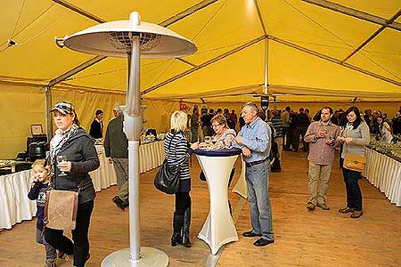 Zahradn&iacute; slavnost v&iacute;na, zdroj: DM Česk&yacute; Krumlov