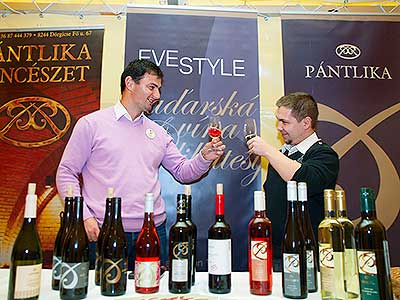 Zahradní slavnost vína, Pivovarská zahrada 16.11.2013