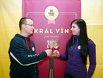 Zahradní slavnost vína, Pivovarská zahrada 16.11.2013