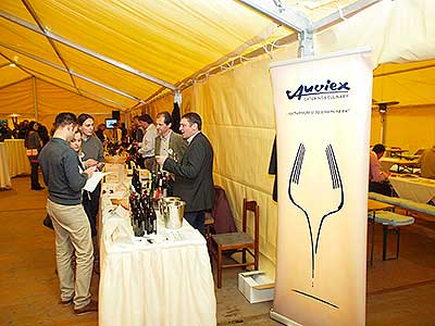 Zahradní slavnost vína, Pivovarská zahrada 16.11.2013