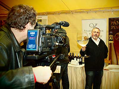 Zahradní slavnost vína, Pivovarská zahrada 16.11.2013