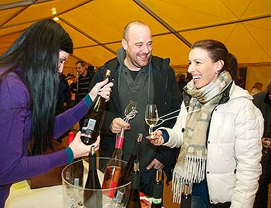 Zahradní slavnost vína, Pivovarská zahrada 16.11.2013