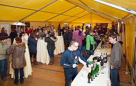 Zahradní slavnost vína, Pivovarská zahrada 16.11.2013