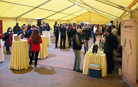 Zahradní slavnost vína, Pivovarská zahrada 16.11.2013