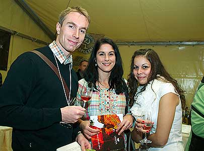 Zahradní slavnost vína, Pivovarská zahrada 16.11.2013