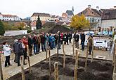 7.11.2014 - NÁVRAT VINNÉ RÉVY DO ČESKÉHO KRUMLOVA, zdroj: Festival vína 2014, foto: Jan Schinko Jr.