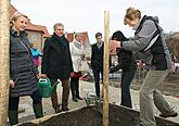 7.11.2014 - NÁVRAT VINNÉ RÉVY DO ČESKÉHO KRUMLOVA, zdroj: Festival vína 2014, foto: Jan Schinko Jr.