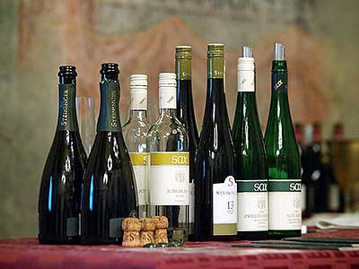 Víno od sousedů, 28.11.2014, zdroj: Festival vína Český Krumlov, foto: Jan Schinko jr. (19/42)