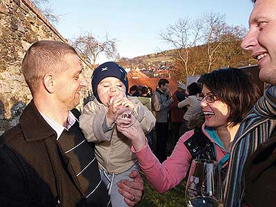 Slavnostní výsadba vinné révy (57/75)