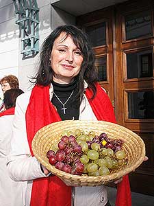 Příjezd sv. Martina a otevření Svatomartinského vína (15/70)