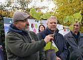 Festival vína Český Krumlov®: Sázení vinné révy 21. 10. 2016, zdroj: Festival vína Český Krumlov® 2016, foto: Foto: Jan Schinko