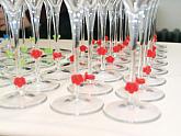 Festival vína Český Krumlov®: Zahajovací večer s Premier Wines & Spirits 21. 10. 2016, zdroj: Festival vína Český Krumlov® 2016, foto: Jan Schinko