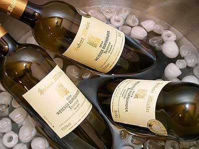 Festival vína Český Krumlov®: BÍLÉ FALCKO, ČERVENÉ TOSKÁNSKO, Tenis-Centrum 22. 10. 2016, zdroj: Festival vína Český Krumlov® 2016, foto: Jan Schinko (10/65)