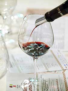 Festival vína Český Krumlov®: BÍLÉ FALCKO, ČERVENÉ TOSKÁNSKO, Tenis-Centrum 22. 10. 2016, zdroj: Festival vína Český Krumlov® 2016, foto: Jan Schinko (19/65)