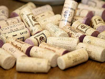 Festival vína Český Krumlov®: BÍLÉ FALCKO, ČERVENÉ TOSKÁNSKO, Tenis-Centrum 22. 10. 2016, zdroj: Festival vína Český Krumlov® 2016, foto: Jan Schinko (36/65)