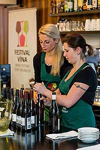 Festival vína Český Krumlov®: KLÁRA KOLLÁROVÁ - UNESCO & VÍNO III., café.bistro.winebar Kolektiv 4. 11. 2016, zdroj: Festival vína Český Krumlov® 2016, foto: Lubor Mrázek (29/56)