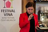 Festival vína Český Krumlov®: KLÁRA KOLLÁROVÁ - UNESCO & VÍNO III., café.bistro.winebar Kolektiv 4. 11. 2016, zdroj: Festival vína Český Krumlov® 2016, foto: Lubor Mrázek