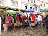 Festival vína Český Krumlov®: Příjezd sv. Martina a ochutnávka Svatomartinského vína 11. 11. 2016, zdroj: Festival vína Český Krumlov® 2016, foto: Jan Schinko