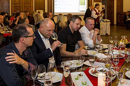 Festival vína Český Krumlov®: ŠPANĚLSKÝ VEČER S PREMIER WINES & SPIRITS A SOMELIEREM IVO DVOŘÁKEM, Hotel Růže 12. 11. 2016, zdroj: Festival vína Český Krumlov® 2016, foto: Lubor Mrázek (38/85)