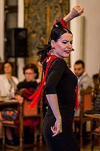 Festival vína Český Krumlov®: ŠPANĚLSKÝ VEČER S PREMIER WINES & SPIRITS A SOMELIEREM IVO DVOŘÁKEM, Hotel Růže 12. 11. 2016, zdroj: Festival vína Český Krumlov® 2016, foto: Lubor Mrázek (80/85)