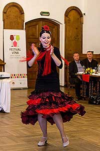 Festival vína Český Krumlov®: ŠPANĚLSKÝ VEČER S PREMIER WINES & SPIRITS A SOMELIEREM IVO DVOŘÁKEM, Hotel Růže 12. 11. 2016, zdroj: Festival vína Český Krumlov® 2016, foto: Lubor Mrázek (81/85)