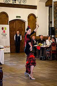 Festival vína Český Krumlov®: ŠPANĚLSKÝ VEČER S PREMIER WINES & SPIRITS A SOMELIEREM IVO DVOŘÁKEM, Hotel Růže 12. 11. 2016, zdroj: Festival vína Český Krumlov® 2016, foto: Lubor Mrázek (84/85)