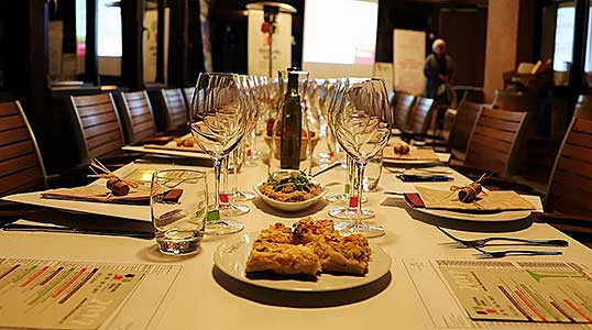 Festival vína Český Krumlov: Vertikála - srovnávací degustace různých ročníků Toskánsko a Pfalz, Tenis-Centrum 27. 10. 2017, zdroj: Festival vína Český Krumlov® 2017, foto: Festival vína Český Krumlov® 2017 (9/19)