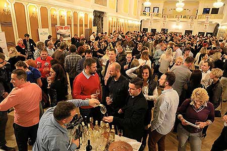 Festival vína Český Krumlov: Zámecká slavnost vína, Zámecká jízdárna 25. 11. 2017, zdroj: Festival vína Český Krumlov 2017, foto: Libor Sváček (54/66)