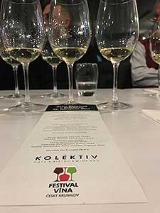 Festival vína Český Krumlov®: Klára Kollárová - má oblíbená vína, café.bistro.winebar KOLEKTIV 16. 11. 2017, zdroj: Festival vína Český Krumlov® 2017 (8/14)