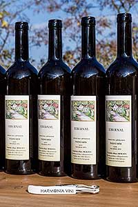 Zahájení Festivalu vína Český Krumlov - slavnostní výsadba vinné révy v kuchyňské zahradě u altánku Paraplíčko v areálu zámku, 26.10.2018, foto: Lubor Mrázek (2/36)