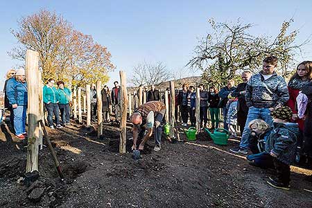 Zahájení Festivalu vína Český Krumlov - slavnostní výsadba vinné révy v kuchyňské zahradě u altánku Paraplíčko v areálu zámku, 26.10.2018, foto: Lubor Mrázek (17/36)