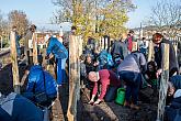 Zahájení Festivalu vína Český Krumlov - slavnostní výsadba vinné révy v kuchyňské zahradě u altánku Paraplíčko v areálu zámku, 26.10.2018, foto: Lubor Mrázek