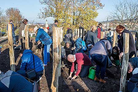 Zahájení Festivalu vína Český Krumlov - slavnostní výsadba vinné révy v kuchyňské zahradě u altánku Paraplíčko v areálu zámku, 26.10.2018, foto: Lubor Mrázek (20/36)