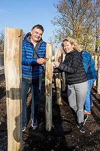 Zahájení Festivalu vína Český Krumlov - slavnostní výsadba vinné révy v kuchyňské zahradě u altánku Paraplíčko v areálu zámku, 26.10.2018, foto: Lubor Mrázek (25/36)