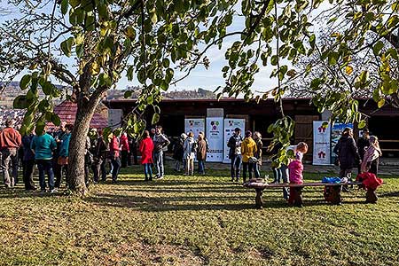Zahájení Festivalu vína Český Krumlov - slavnostní výsadba vinné révy v kuchyňské zahradě u altánku Paraplíčko v areálu zámku, 26.10.2018, foto: Lubor Mrázek (28/36)