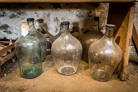 Zahájení Festivalu vína Český Krumlov - slavnostní výsadba vinné révy v kuchyňské zahradě u altánku Paraplíčko v areálu zámku, 26.10.2018, foto: Lubor Mrázek (35/36)