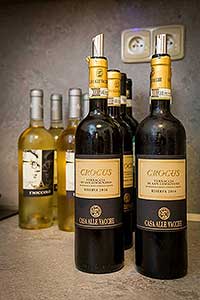 Festival vína Český Krumlov®: Toskánské San Gimignano a jeho vína - ESSENTIA-studio s.r.o. 2.11.2018, foto: Lubor Mrázek (18/60)