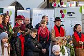 Festival vína Český Krumlov®: Příjezd svatého Martina a ochutnávka Svatomartinského vína 11.11.2018, foto: Lubor Mrázek