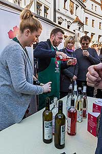 Festival vína Český Krumlov®: Příjezd svatého Martina a ochutnávka Svatomartinského vína 11.11.2018, foto: Lubor Mrázek (40/48)