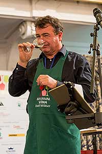 Festival vína Český Krumlov ®: Zámecká slavnost vína, zámecká jízdárna 24.11.2018 (39/156)