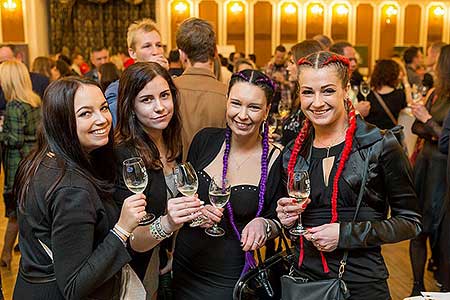 Festival vína Český Krumlov ®: Zámecká slavnost vína, zámecká jízdárna 24.11.2018 (68/156)